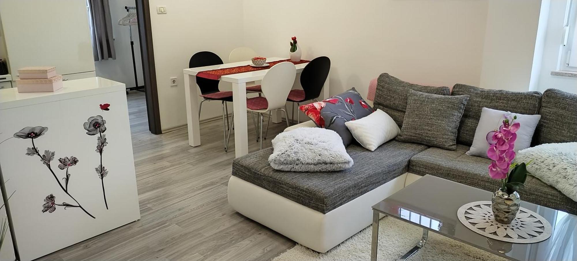 Apartments Mary & Free Parking Ровин Стая снимка